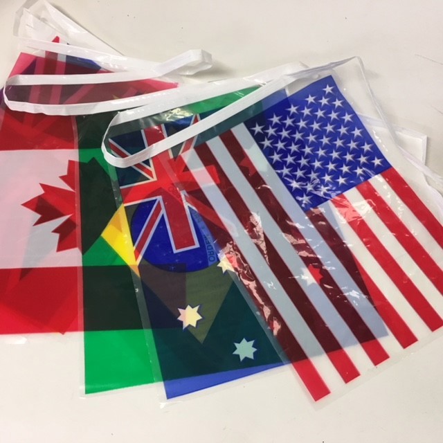 BUNTING, World Flags - 12 Flags 20 x 30cm